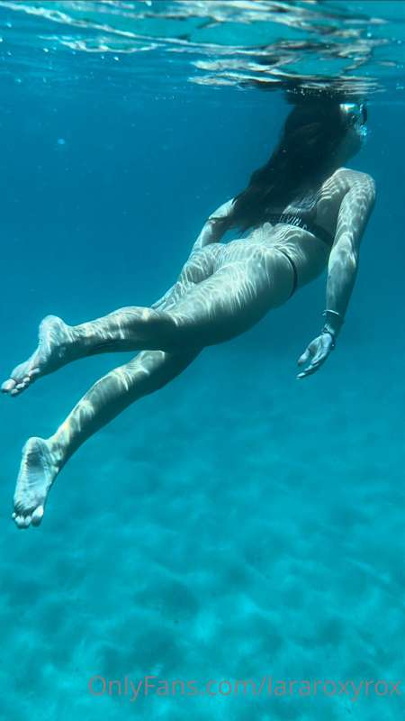 Chiappe acquatiche 2