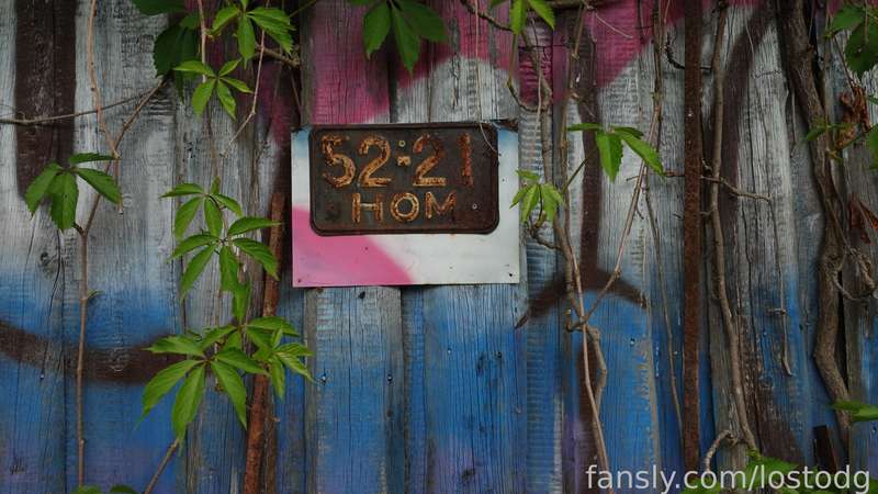 Lostodg - Fansly - 30 May, 2023 6