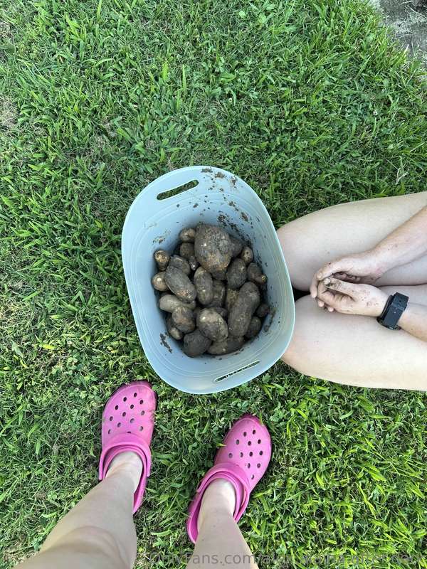 Alaina is back with another garden update! We've harvested g.. 2