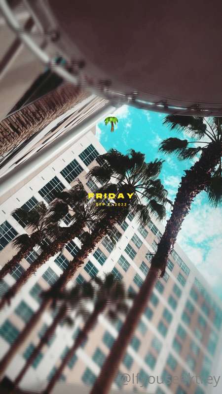 📍Vegas by the pool 🖤 @ifyouseektrey