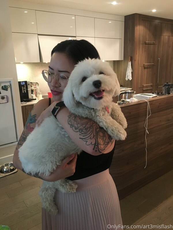 This is just a doggo + one cat appreciation post ?? 1