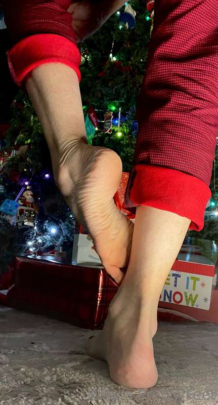 Santa stood, his hands gliding up her legs, his touch sendin..