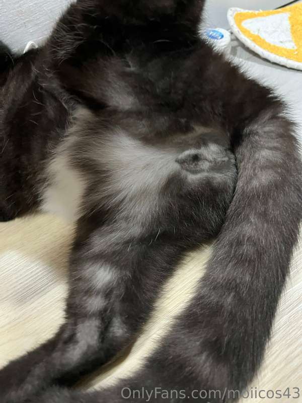 #いいおしりの日   😸 5