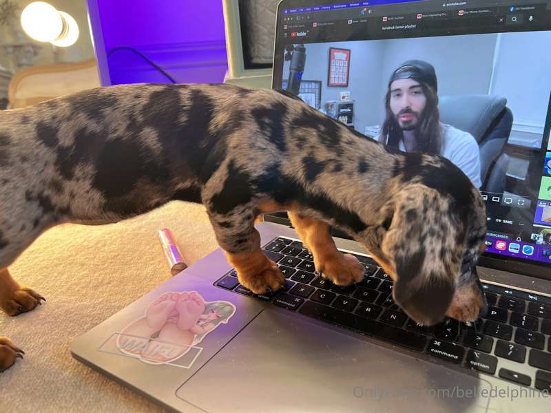 Helppp! Im getting attacked >. 6