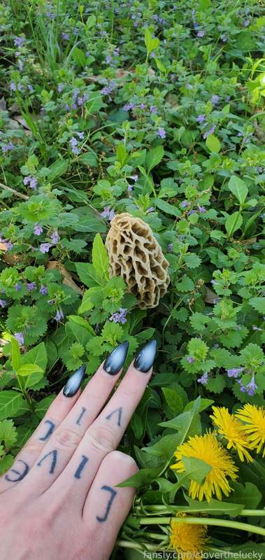 Cloverthelucky - Fansly - 12 May, 2025 4