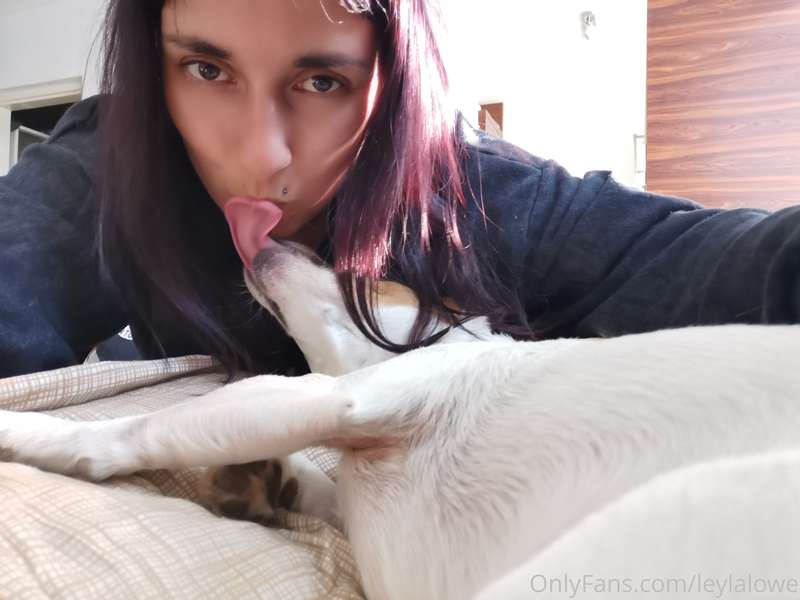 I'm also doggositting today... And this cute bag of fur is h..