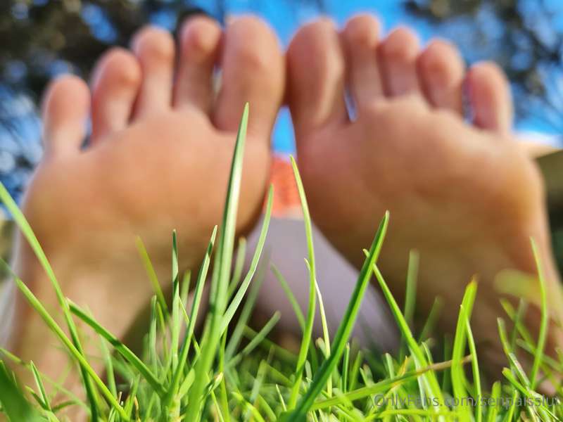 POV you are a tiny who has emerged from the grass to find a ..