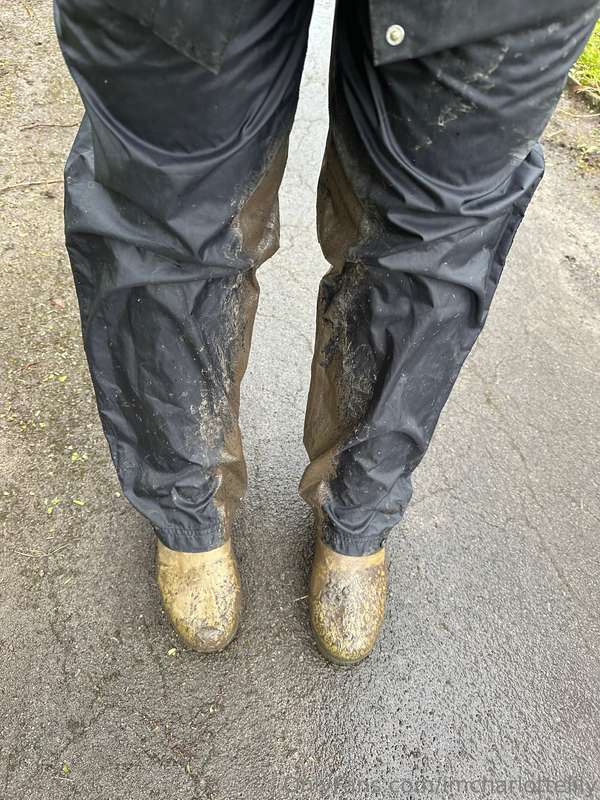 Should I make more mud vids?