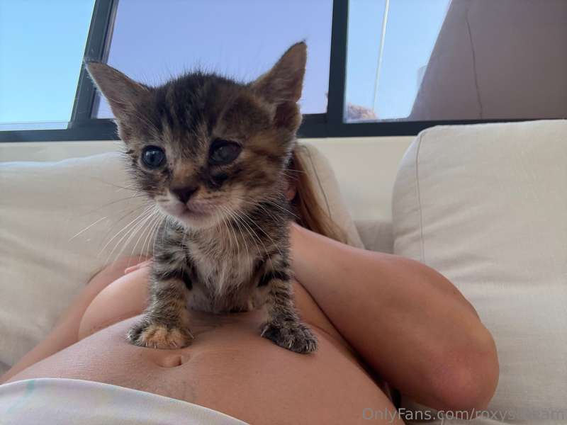My new baby 🐱 cuuuuute no?! 2