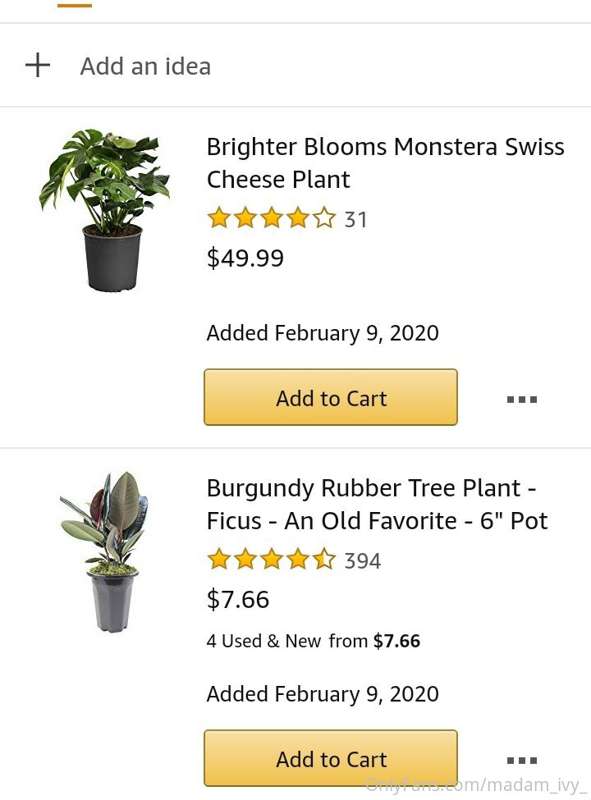 someone pleasseee send me an Amazon gift card I wanna spoil .. 2