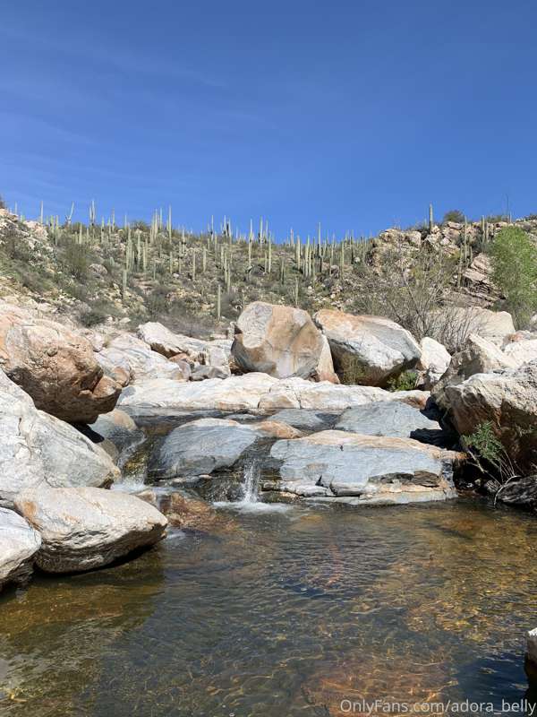 Went on a really beautiful hike this week 💕🌵