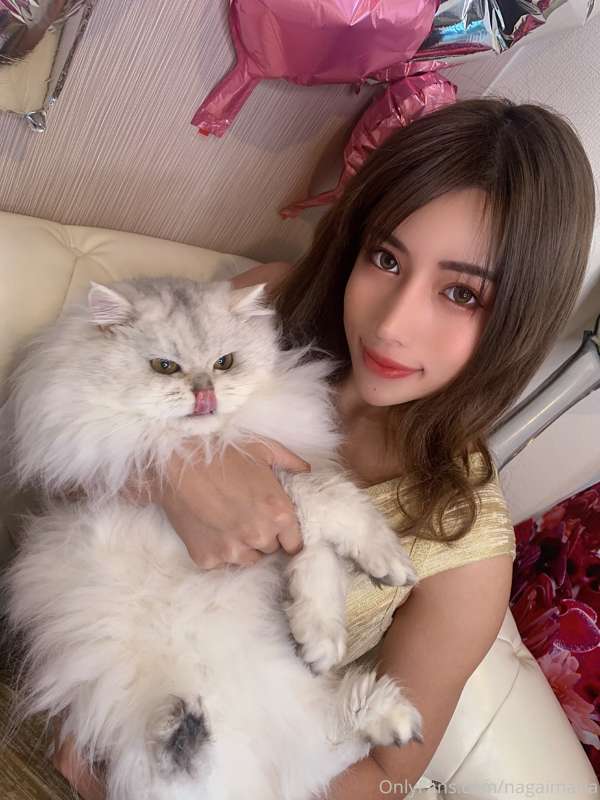 My lovely cat💗 2