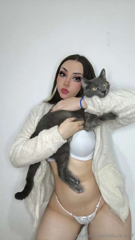 Say hello to Python 😼😽🐈