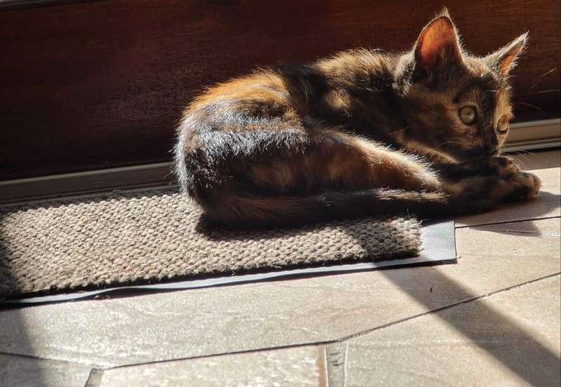 Hello people. Just dropping by to show u my pussy💦 3
