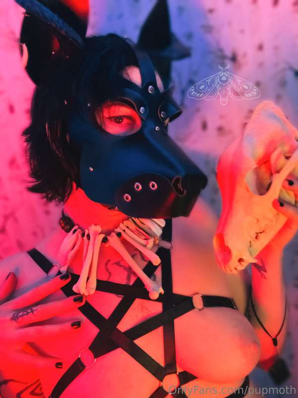Pupmoth - Onlyfans - 08 May, 2024