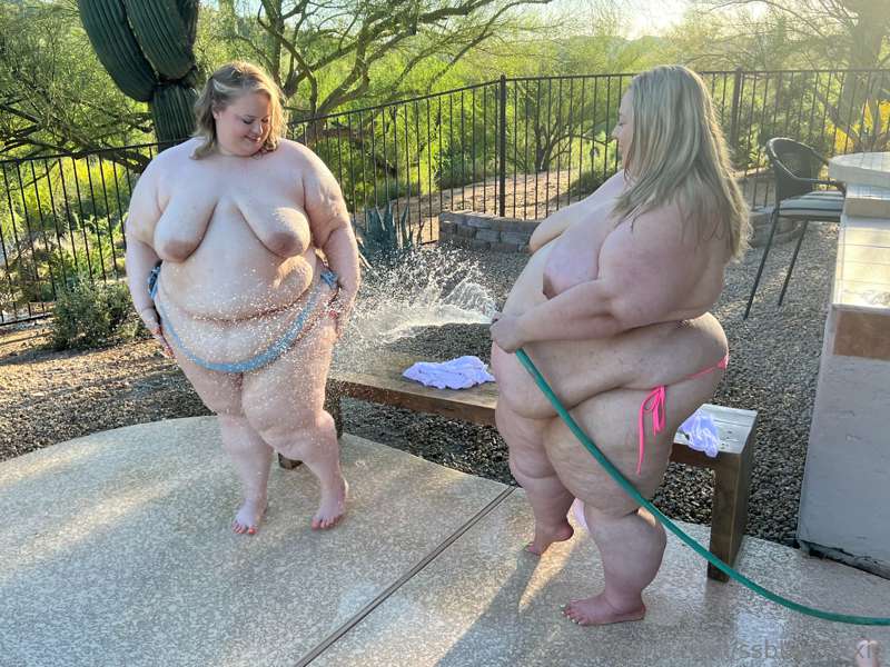 🐖 Hosing down the hogs! 🐷 

It’s *so hot* in Arizona! @lisal.. 6
