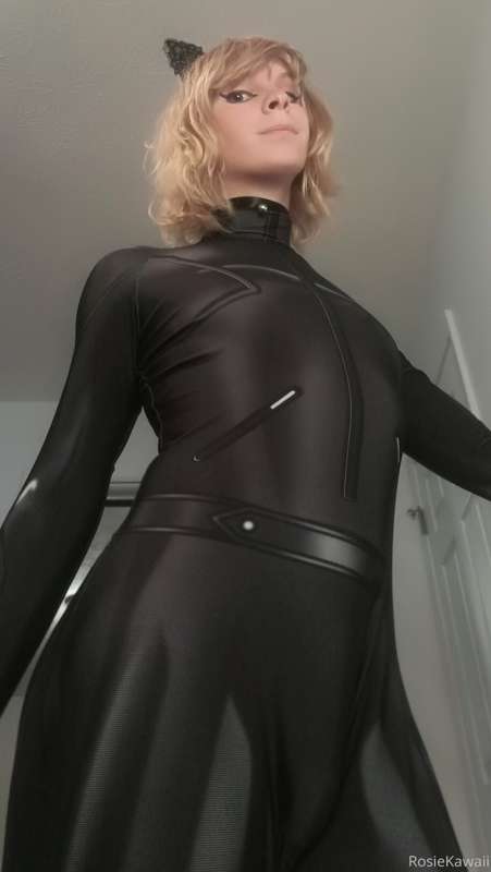 cat noir set 1/4 x :3 13