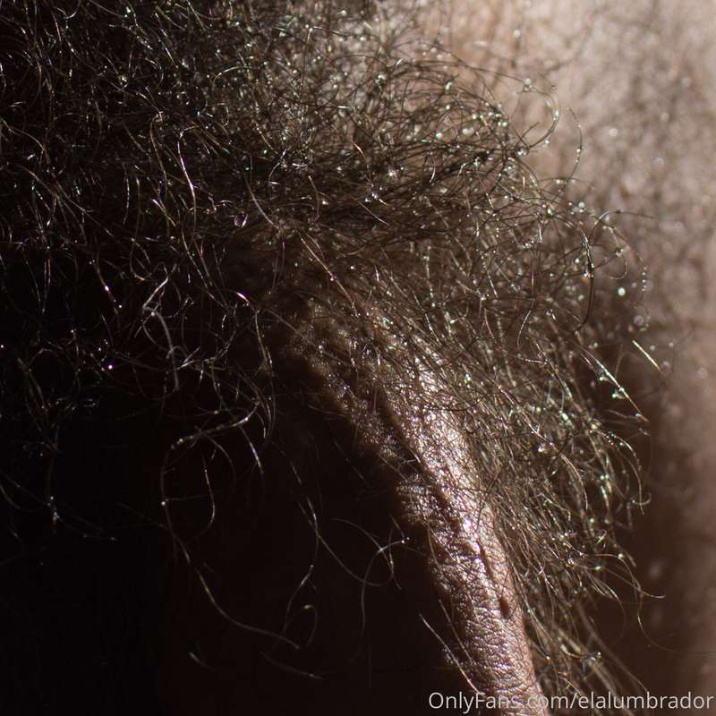 Detailed beauty. Dewed bush