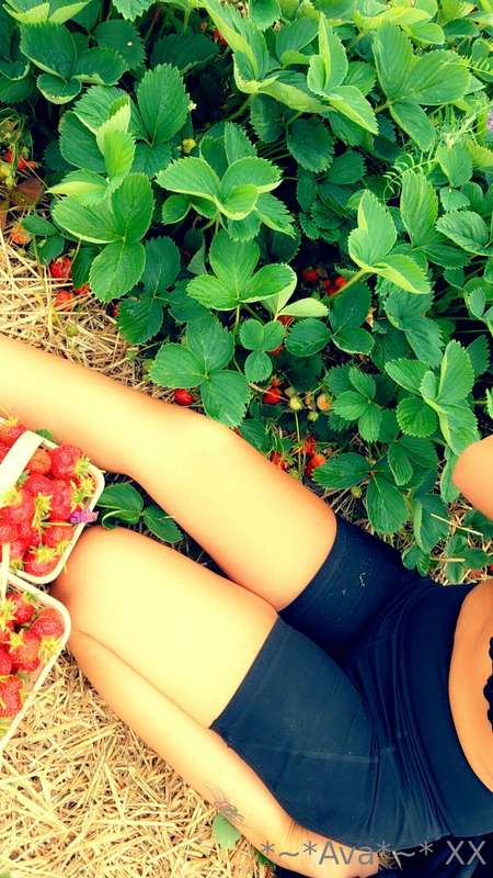 Nothing like fresh berries 😝 2