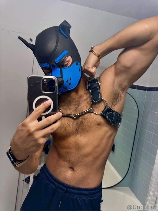 woof🐶 3