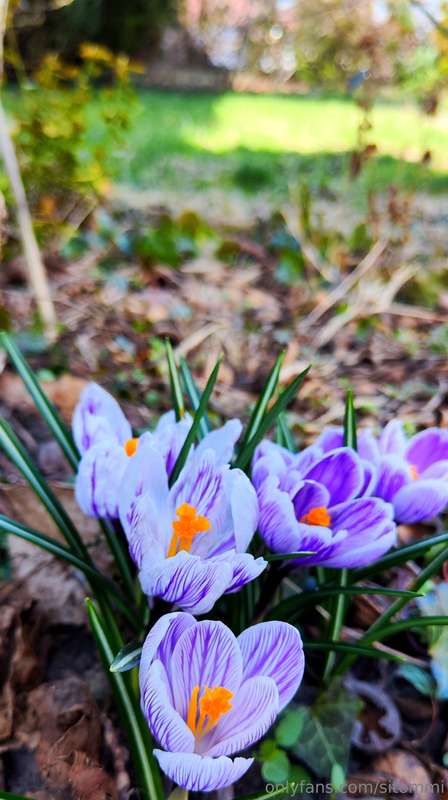 Hi, have a nice weekend everyone :)It turned out to be quite.. 16
