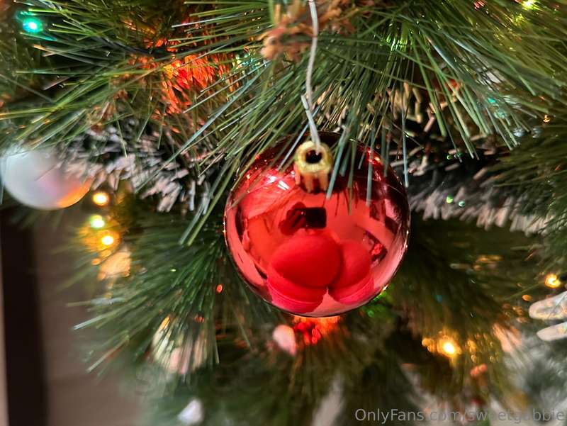 Will you help me decorate the Christmas tree , or is my 