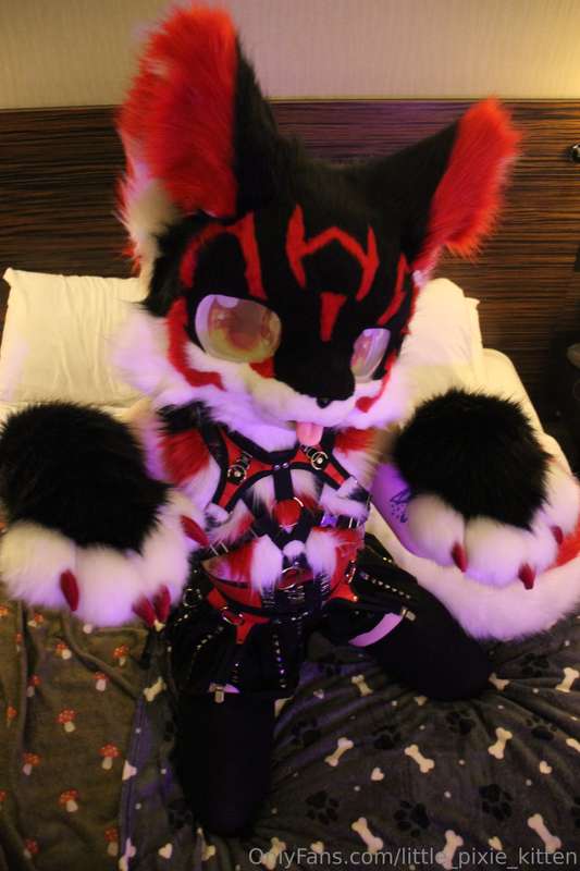 Koji pics in the hotel! ♥️🖤🤍 7