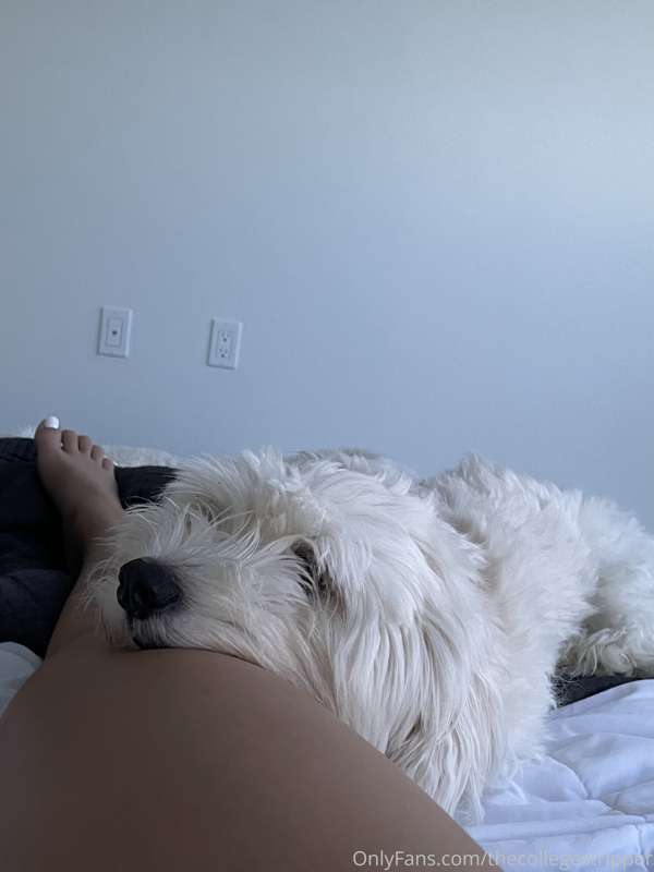 Afternoon puppy cuddles❤️