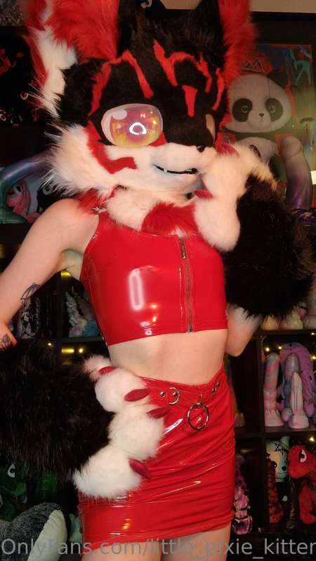 Some furry pictures ❤️ 6