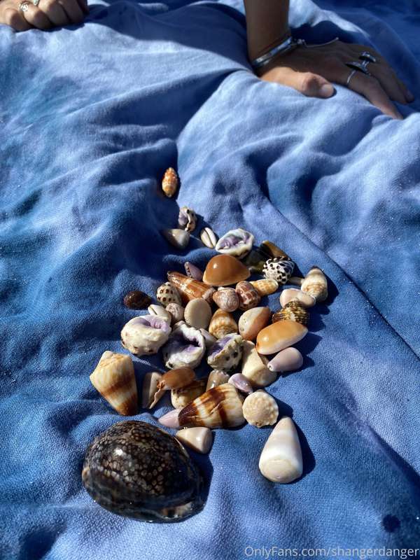 Brit got a crazy shell haul today! I found some epic trash t.. 1