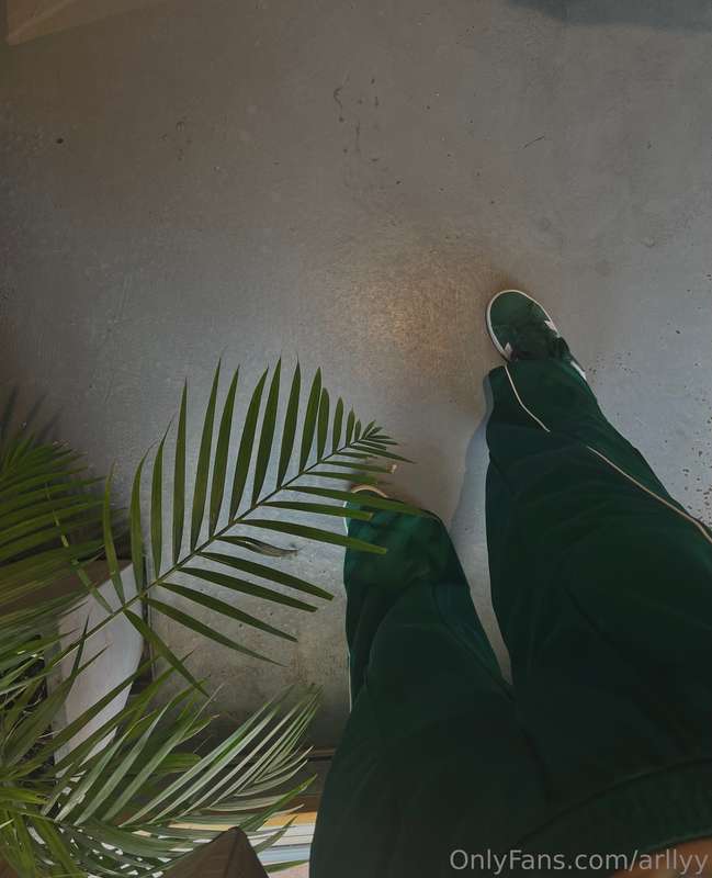 🌿🐍 1