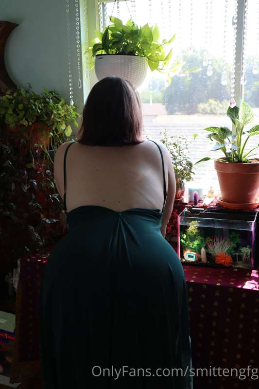 🪴 🌱 plant mommy 🌿 🌾 15