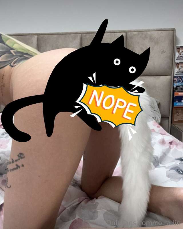 😽🐈 Per la Giornata Mondiale del Gatto oggi 📆 ho deciso di in..
