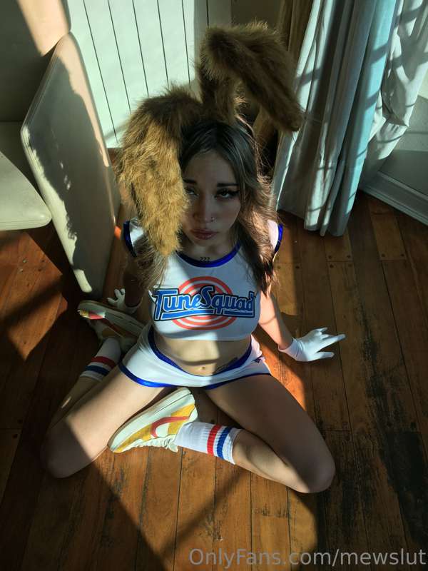 🐰🐰🐰