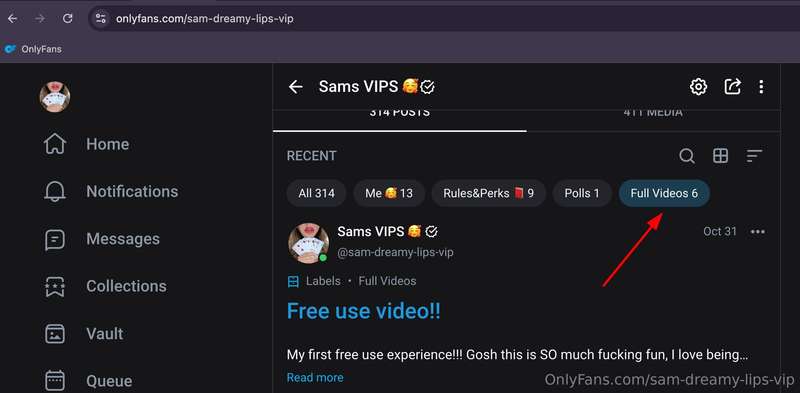 B T W, kind reminder you have more info of the available vid..