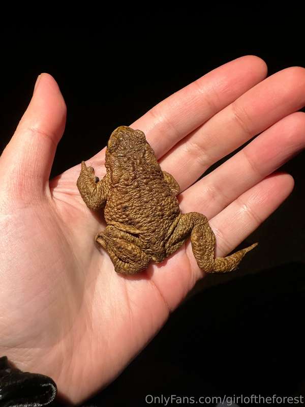 The toad migration has started, so Dasha and I spent the who.. 2