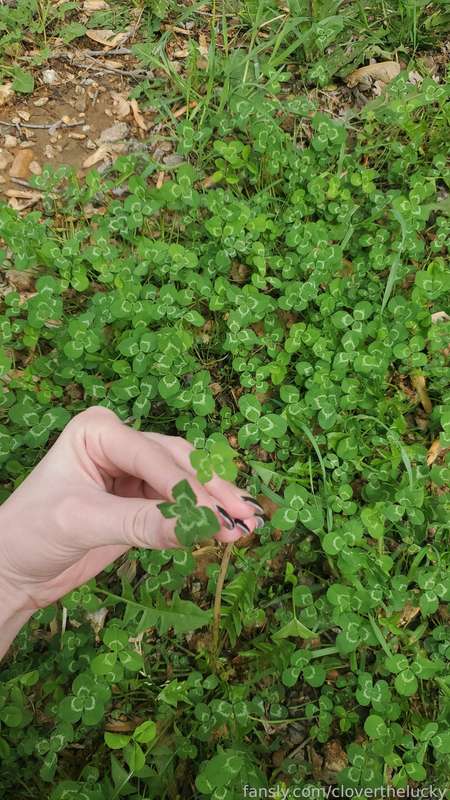 Cloverthelucky - Fansly - 12 May, 2025 3