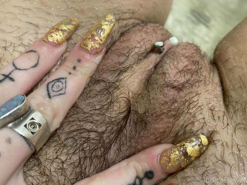 BUSH UPDATES!!!