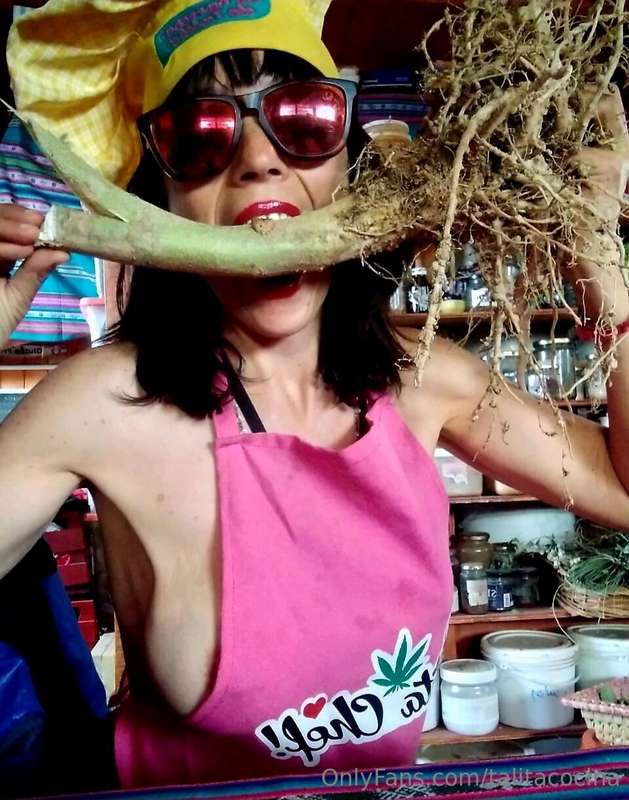 Haz tu propia tintura madre de raíces 420! Córtalas em troci..