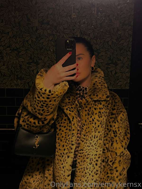 🐆🐆 1