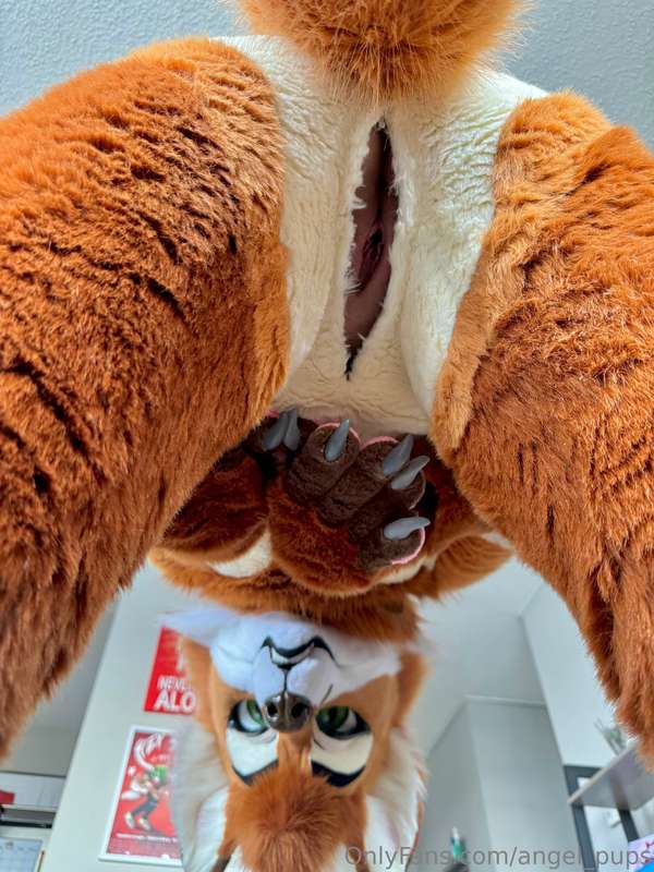 You want me to do what human?! Sit on your face!!??Idk if th..