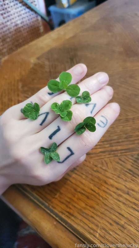 Cloverthelucky - Fansly - 25 Jul, 2024