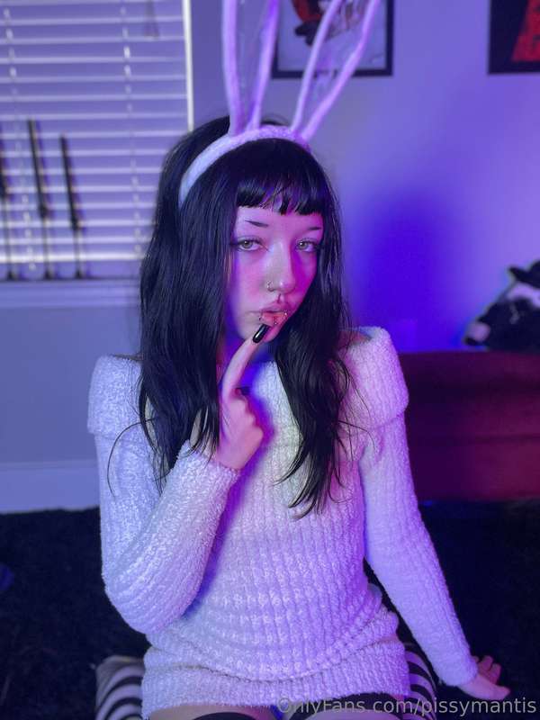 has anyone seen a… white rabbit? 🐰 2