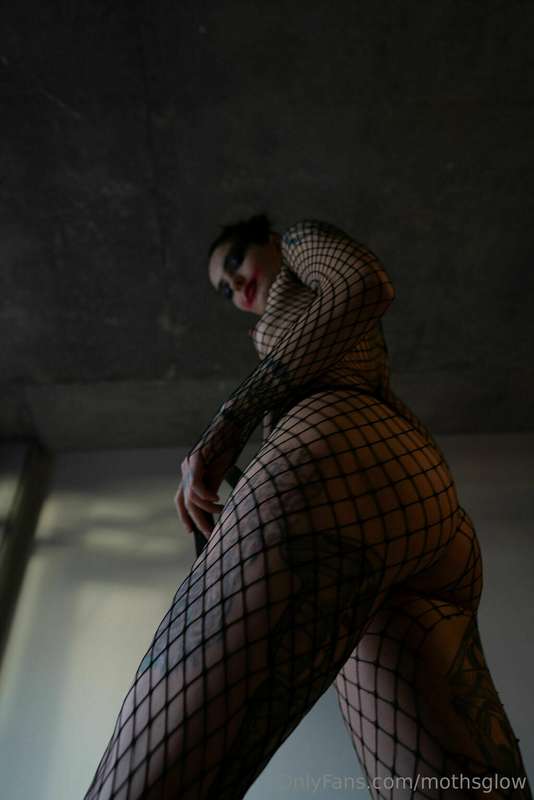 That time I got ~Irreverent Imagery~ to lay on the ground fo..
