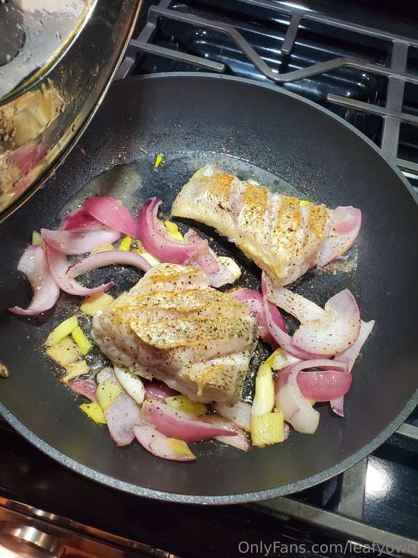 🐟🐟🐟