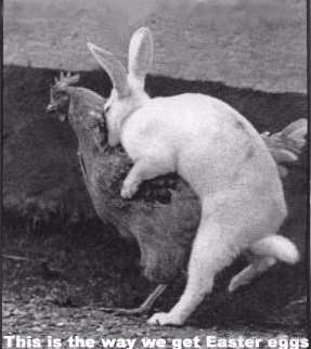 Happy Easter everyone!