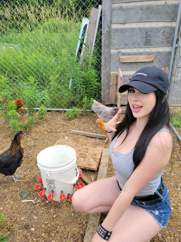 *WHOLESOME POST*
My sister has freakin chickens and I LOVE T.. 1