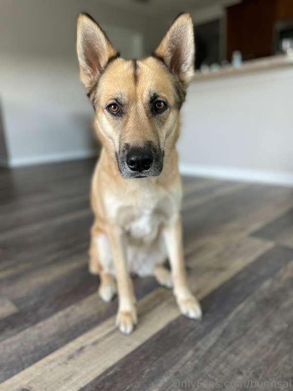 She’s just as impatient as mommy for food 🐾