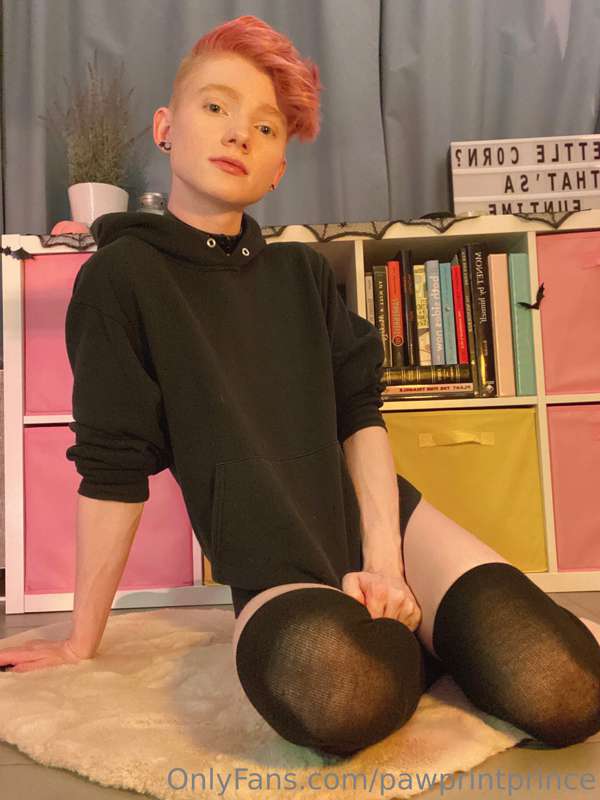 Pawprintprince - Onlyfans - 31 Oct, 2022 4
