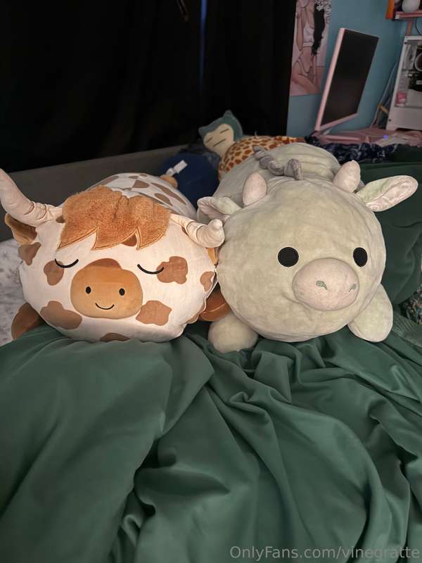 Charlie and Alfonso my two favorite plushies and me! 